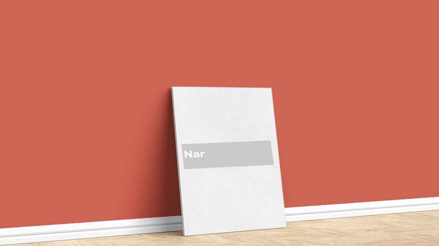 Görselde, Turuncular renk paleti içinde bulunan Marshall Nar isimli koyu turuncu iç cephe boya rengi ile boyanmış bir duvar var.