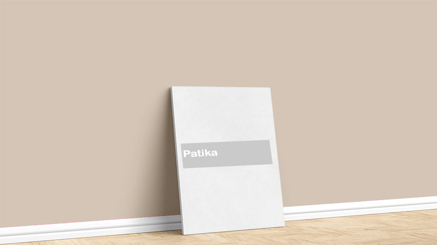 Görselde, Toprak renk paleti içinde bulunan Marshall Patika isimli iç cephe boya rengi ile boyanmış bir duvar var.