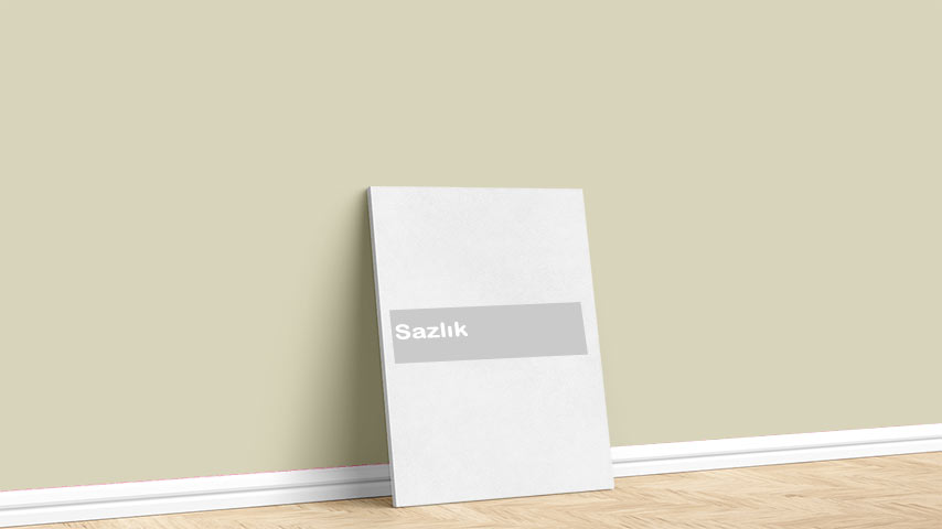 Marshall Sazlık Yeşil Boya Rengi. Görselde, Soft Açık Yeşiller renk paleti içinde bulunan Marshall Sazlık isimli yeşil iç cephe boya rengi ile boyanmış bir duvar var.