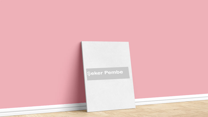 Marshall Şeker Pembe Boya Rengi. Görselde, Kırmızılar renk paleti içinde bulunan Marshall Şeker Pembe isimli kırmızı iç cephe boya rengi ile boyanmış bir duvar var.