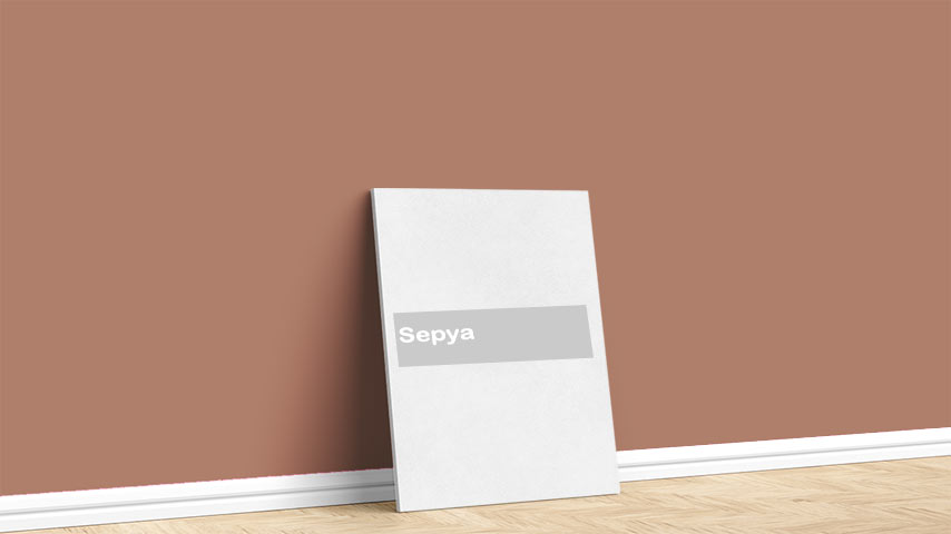 Görselde, Turuncular renk paleti içinde bulunan Marshall Sepya isimli iç cephe boya rengi ile boyanmış bir duvar var.