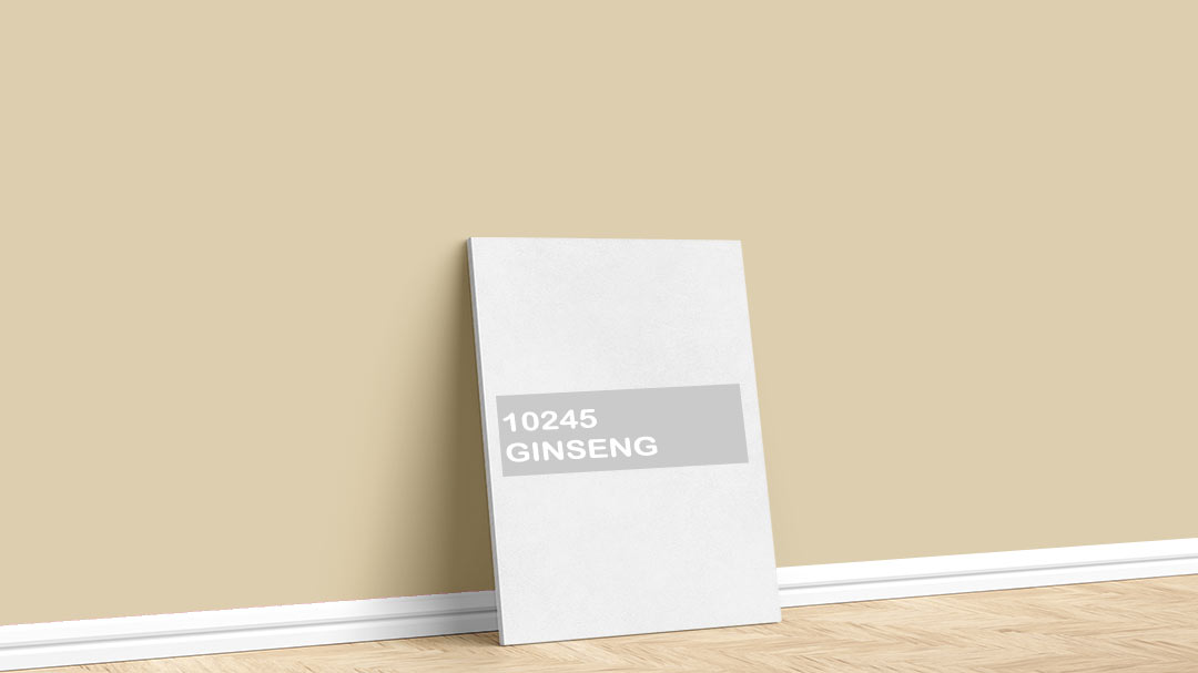 Jotun Pastel Sarı 10245 Ginseng Boya Rengi. Görselde, İstanbul boyacı ustası tarafından Jotun 10245 Ginseng isimli pastel sarı iç cephe boya rengi ile boyanmış bir duvar var.