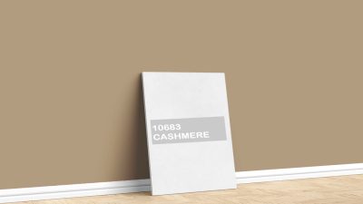 Jotun Sarı 10683 Cashmere - En Güzel Renkler | Boyacıyım