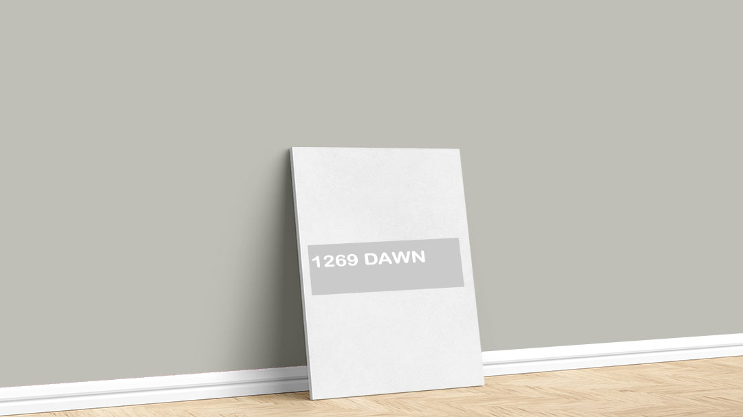 Jotun Açık Gri 1269 Dawn Boya Rengi. Görselde, İstanbul boyacı ustası tarafından Jotun 1269 Dawn isimli açık gri iç cephe boya rengi ile boyanmış bir duvar var.